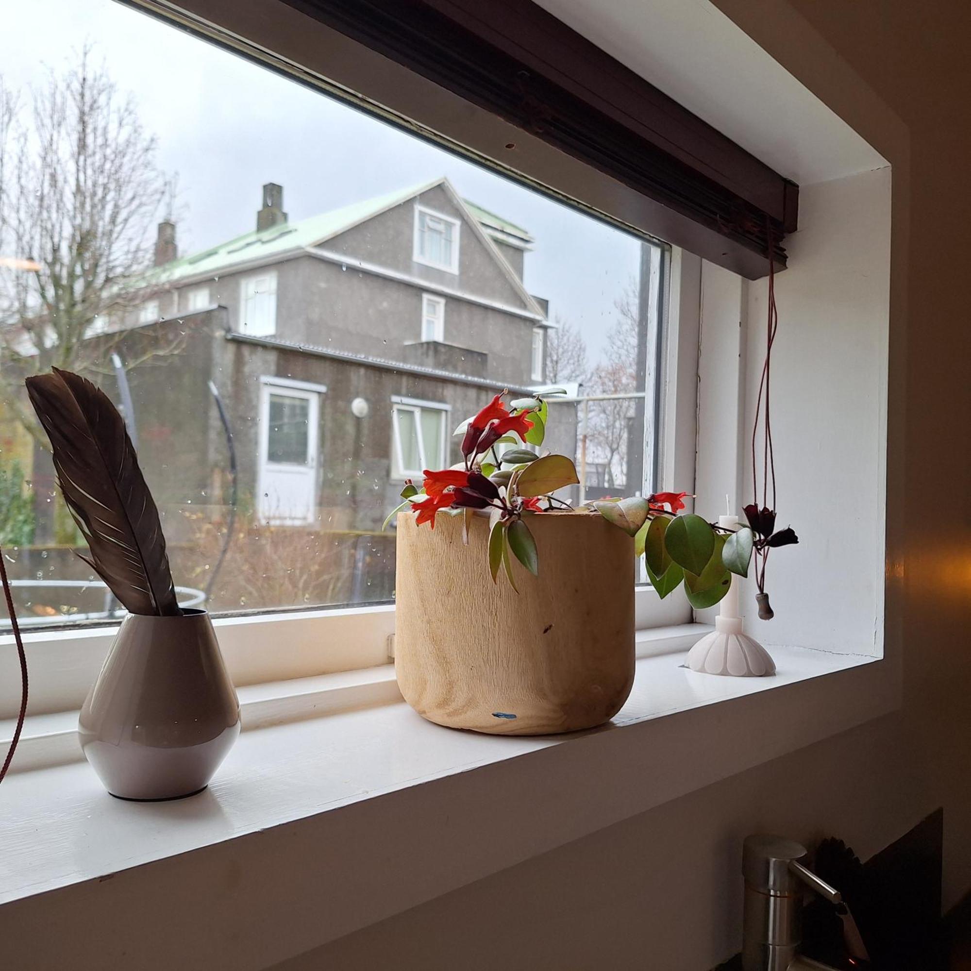 Central Reykjavik - Garden Cottage Экстерьер фото